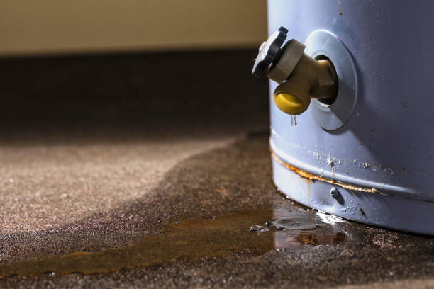Best Commercial water damage restoration  in Ridgely, TN