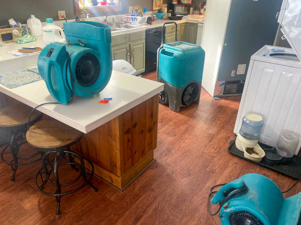 Best Professional water damage repair  in Ridgely, TN