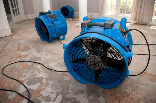 Professional Water damage restoration in TN