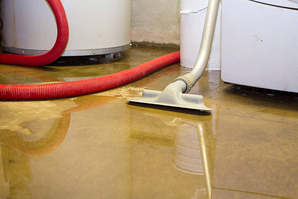 Best Water damage contractors near me  in Ridgely, TN