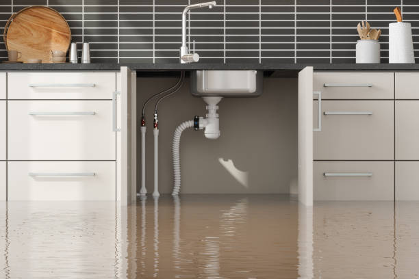 Best Flooded house restoration  in Ridgely, TN