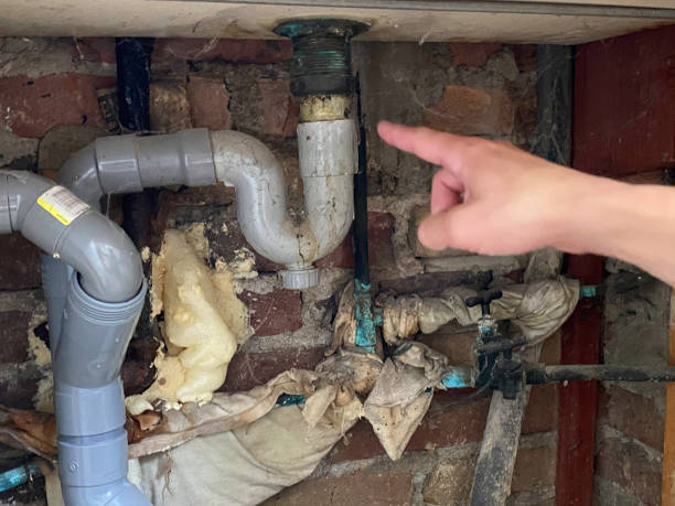 Best 24/7 water damage repair  in Ridgely, TN
