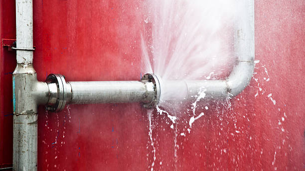 Best Sewage cleanup and water damage restoration  in Ridgely, TN